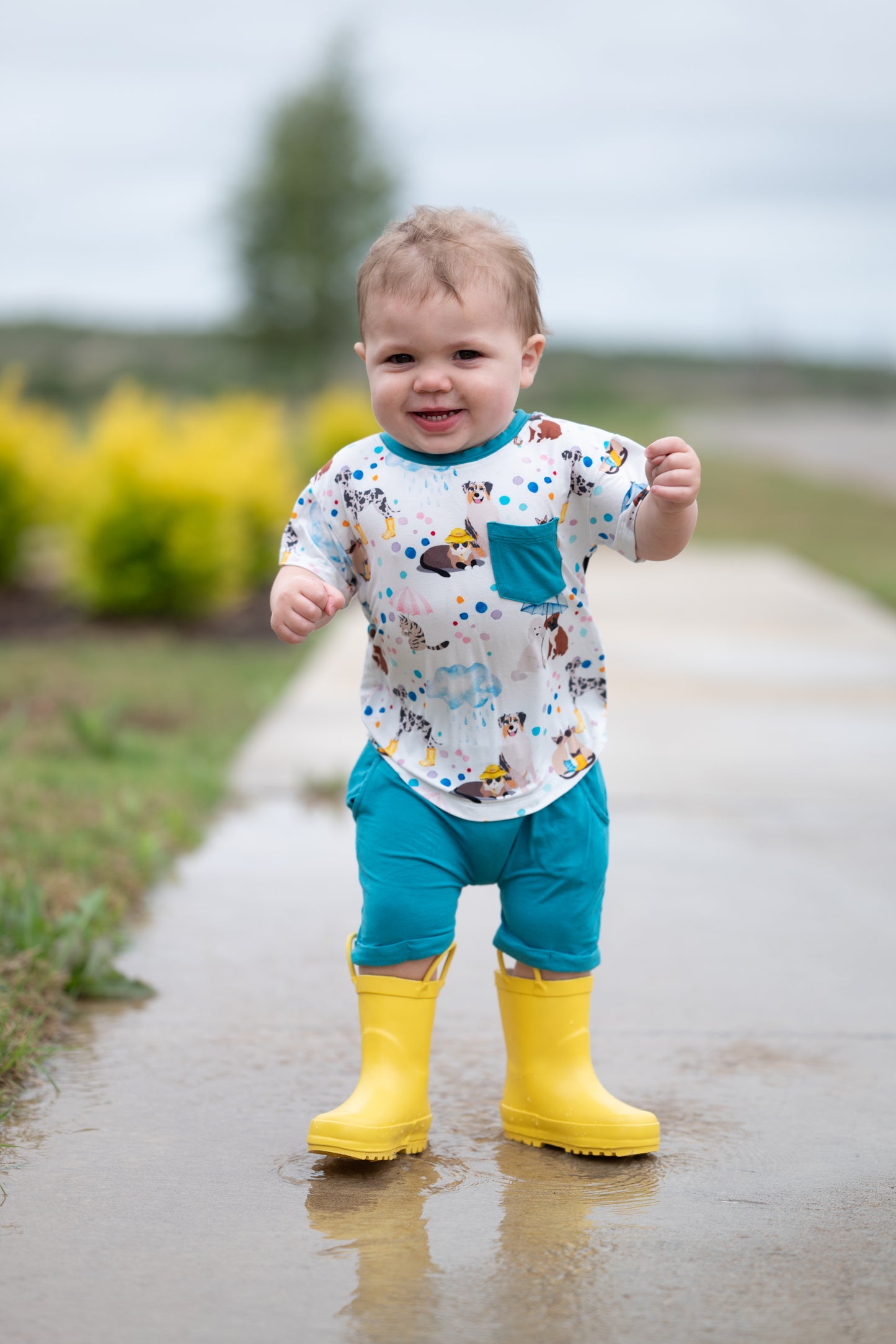 Raining Cats & Dogs Shorts