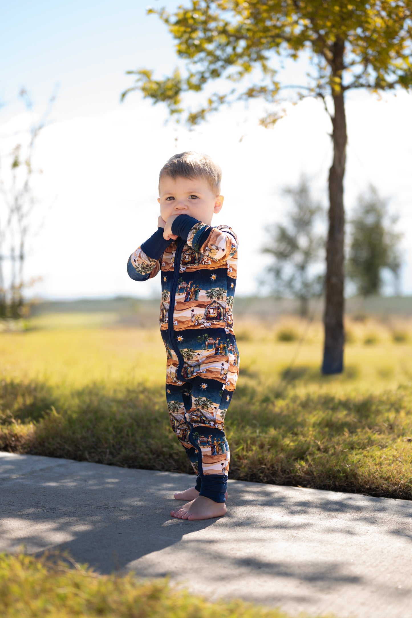 Away In A Manger Convertible Zippee